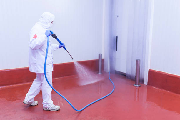 Best Pre-Holiday Cleaning  in Byram, CT